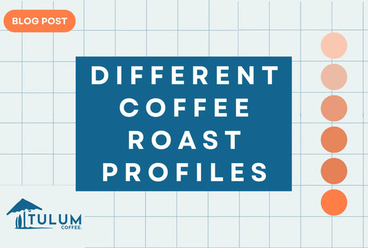Different types of roast profiles-Tulum Coffee