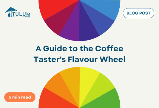 How To Use The Coffee Taster's Flavour Wheel