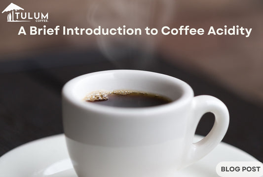 A Brief Introduction to Coffee Acidity