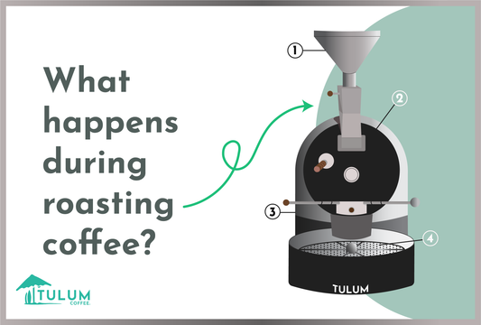 What happens during roasting?-Tulum Coffee