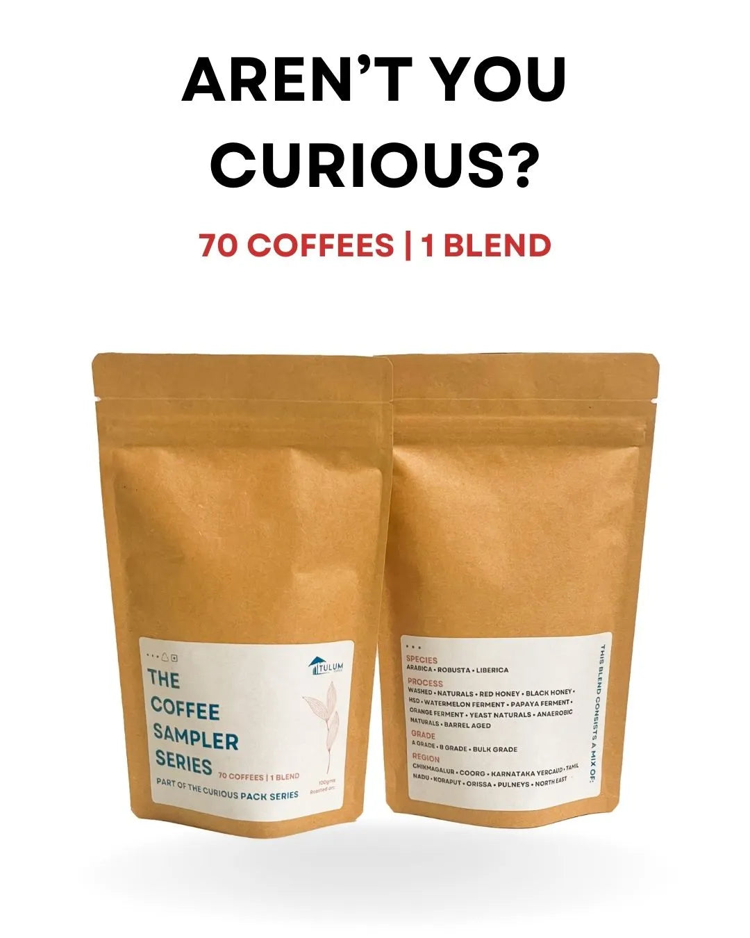 The Coffee Sampler Series - Part of the Curious Pack Series