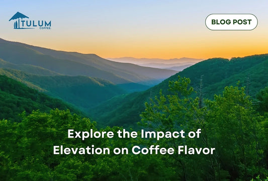 How Does Elevation Affect Your Coffee