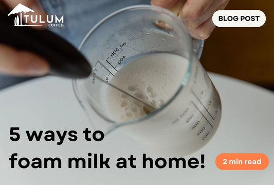 Top 5 Ways to Foam Milk At Home