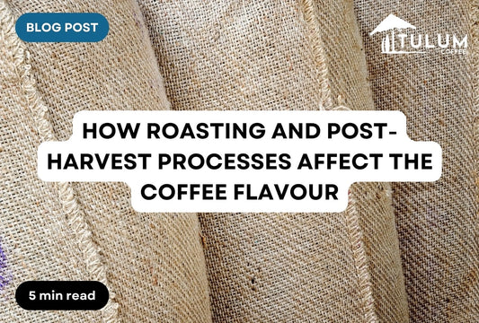 Different roast profiles of coffee
