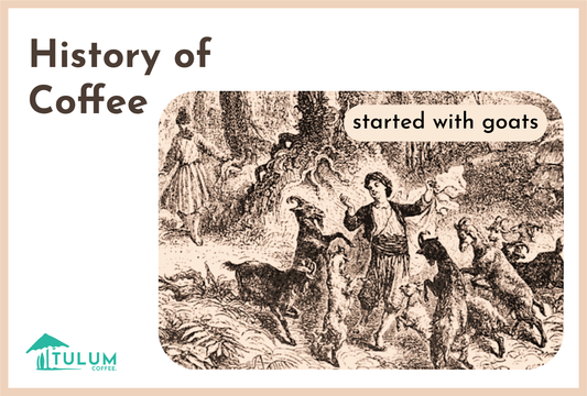The History of Coffee-Tulum Coffee